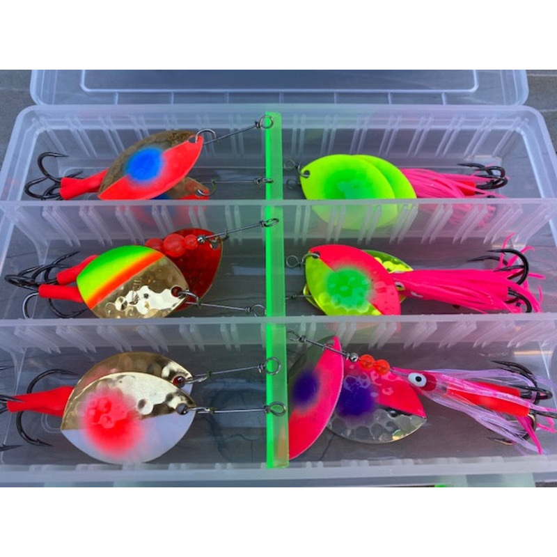 B-10, #5 CA Combo Spinner Box ($130 Value)