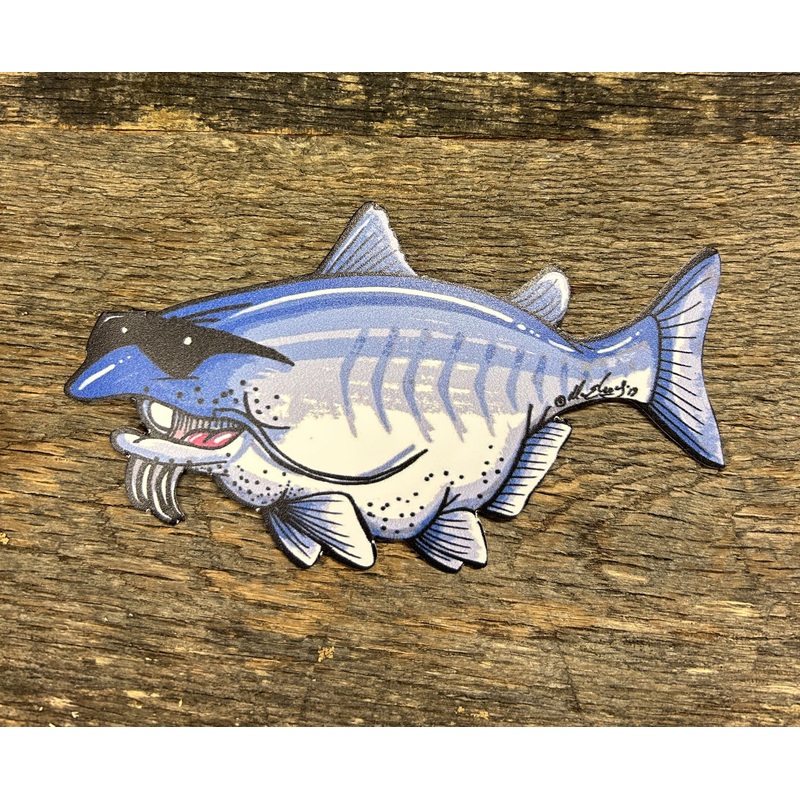 Billy the Catfish Decal|Small|Large