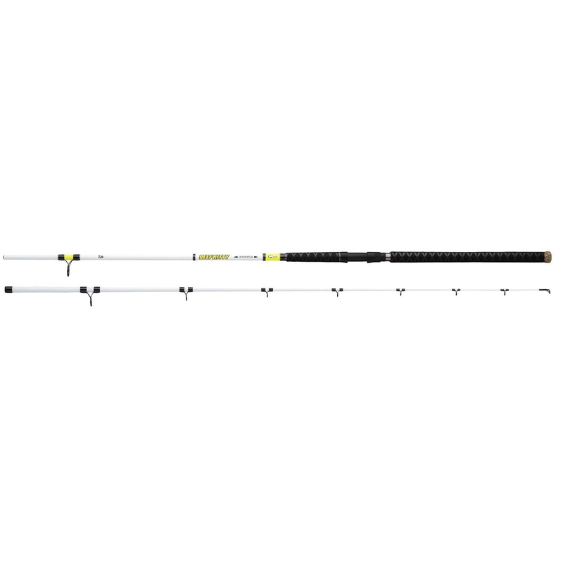 Daiwa Beef Kitty Surf Rod|Spinning|Casting|9’|10’|12′