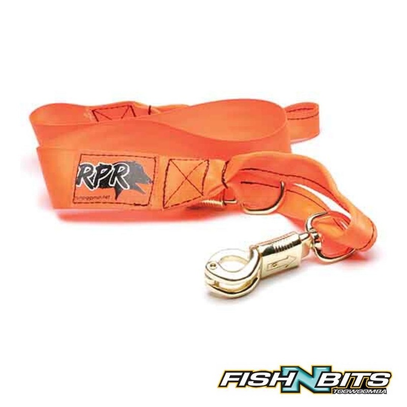 RPR – Action lead