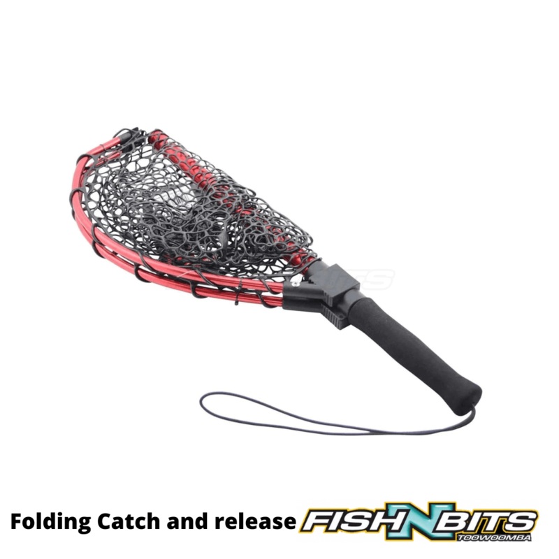 Berkley – Folding Catch & Release