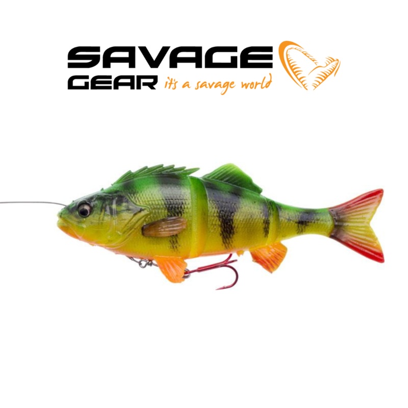 4D LineThru Perch – BIG PIKE PROMO