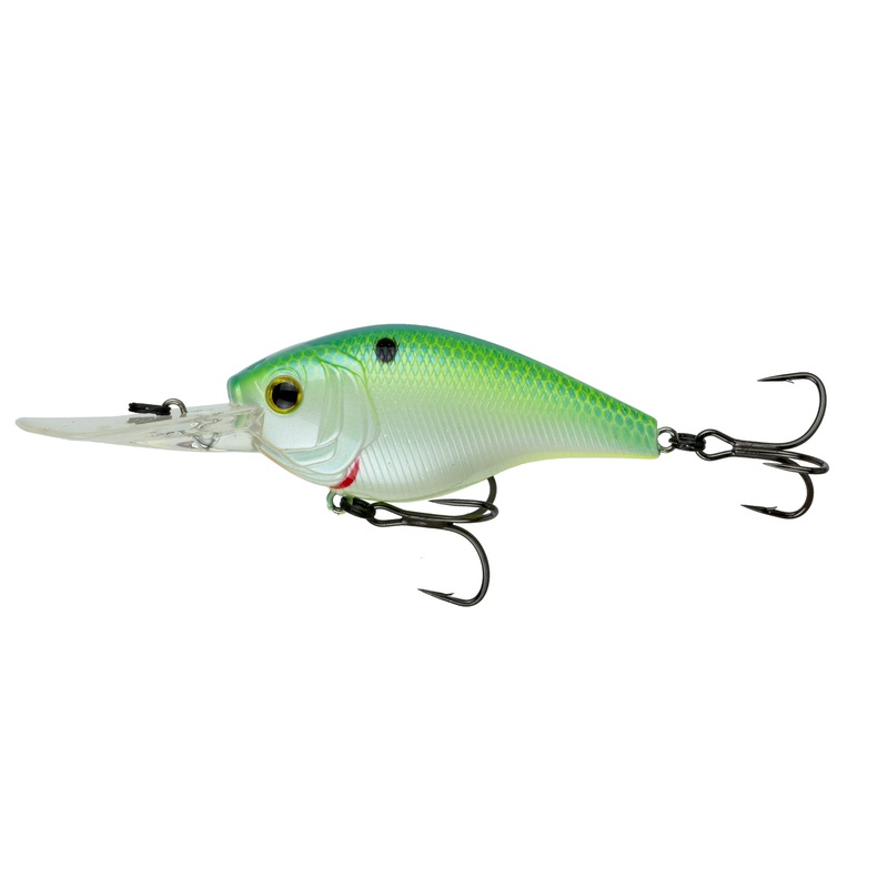 Cloud 9 – Candy Citrus Shad|C10|C20