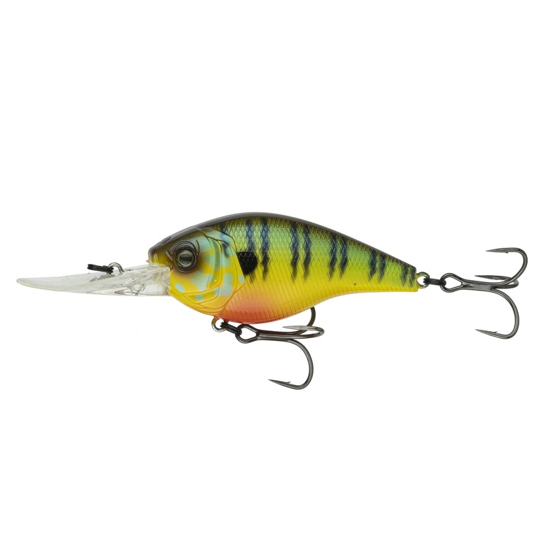 Cloud 9 – Mud Gill|C10|C15