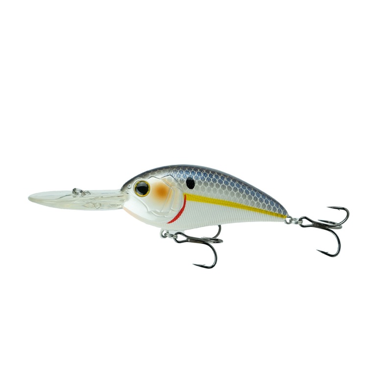 Crush DD Series – Supermodel Shad