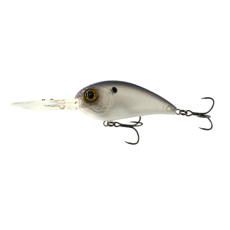 Crush DD Series – Pro Blue Hologram