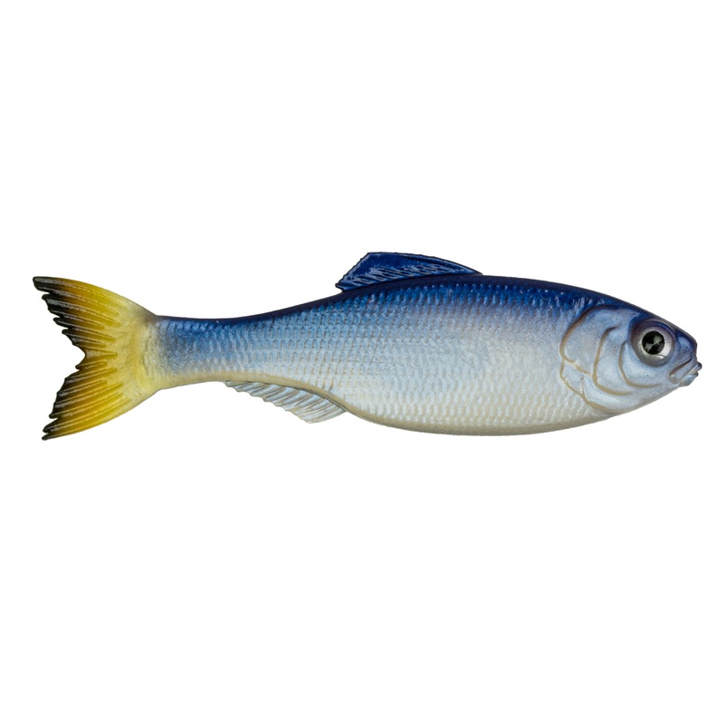 Panorama – Glass Minnow|5.0″ (3/pk)|6.5″ (2/pk)