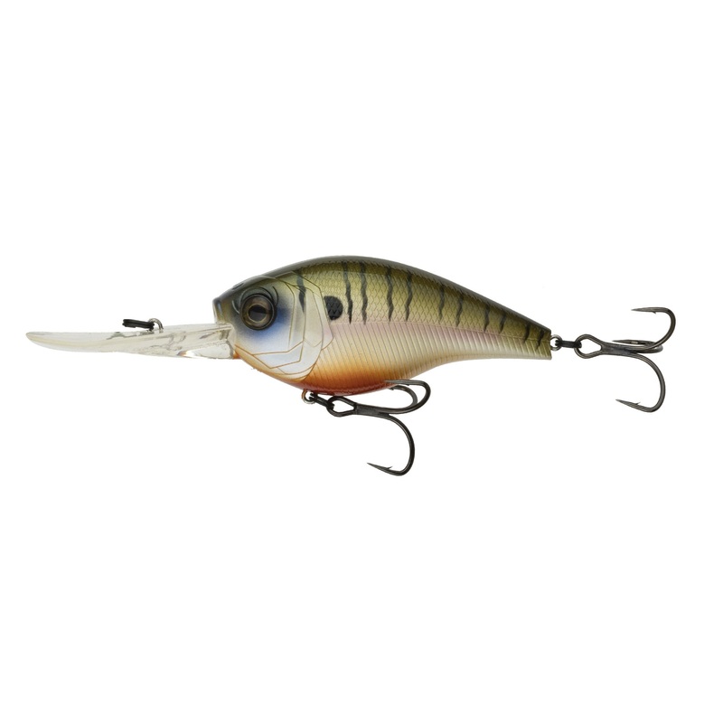 Cloud 9 – 4K Bluegill|C10|C20