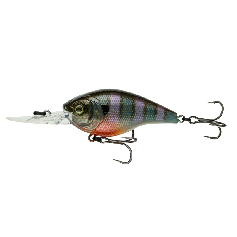 Cloud 9 – Bluegill Spawn|C6