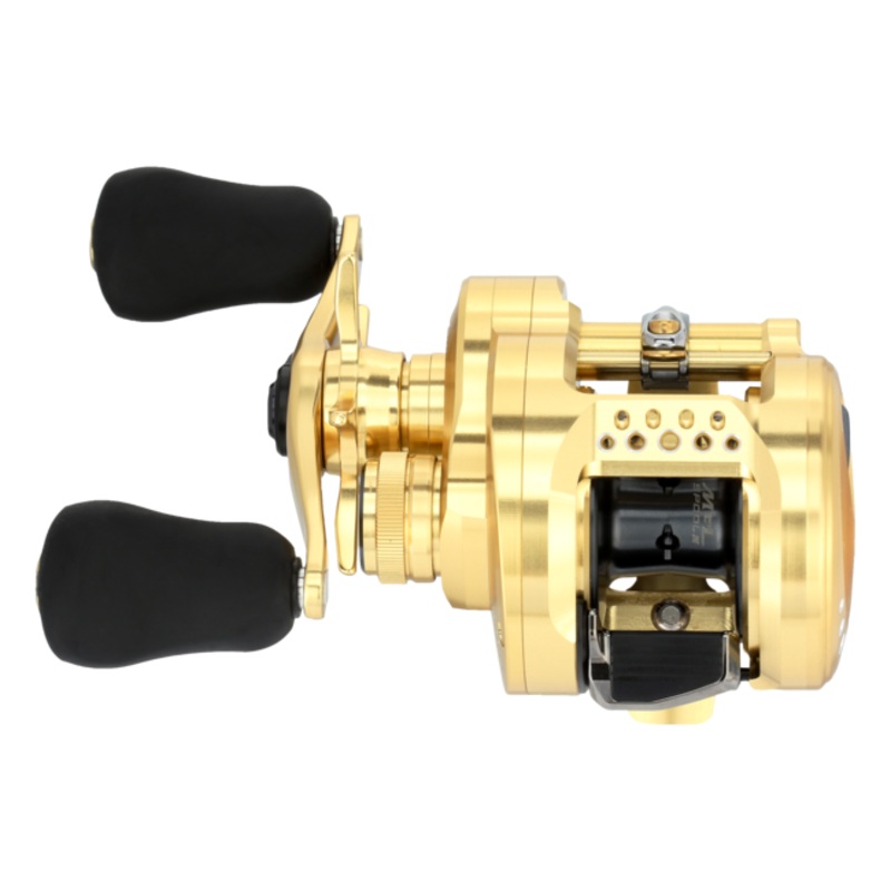 Calcutta Conquest|Gold|200A|201A