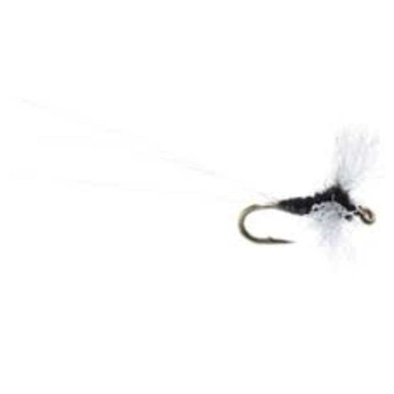Umpqua Chubby Trico Spinner|22|20