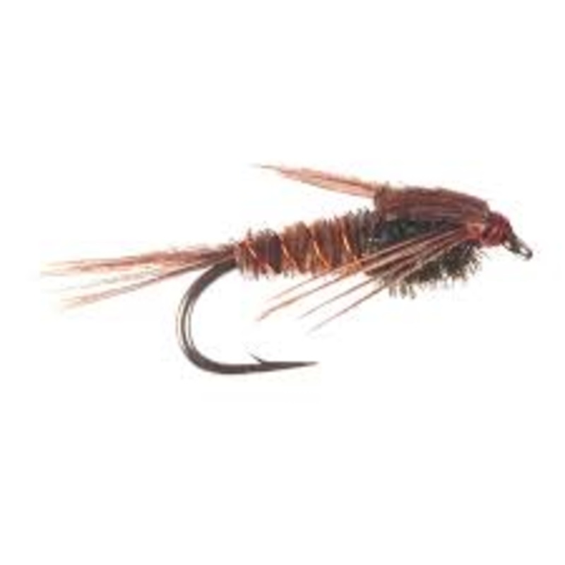 Umpqua Pheasant Tail Nymph|20|16