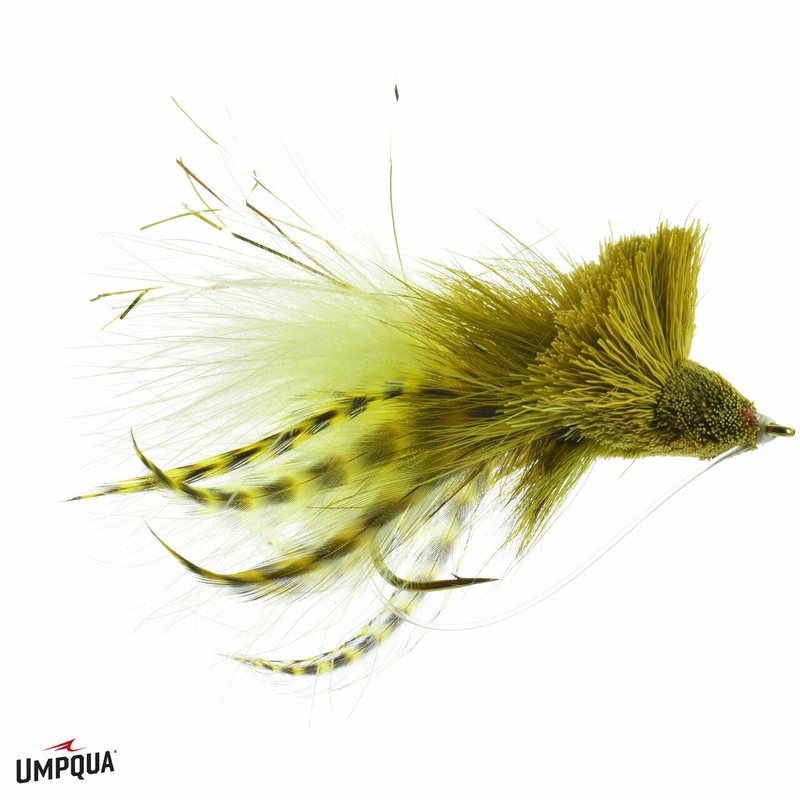 Umpqua Diving Bug|2|6