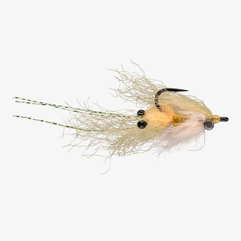 Rio Christmas Mantis|6|4