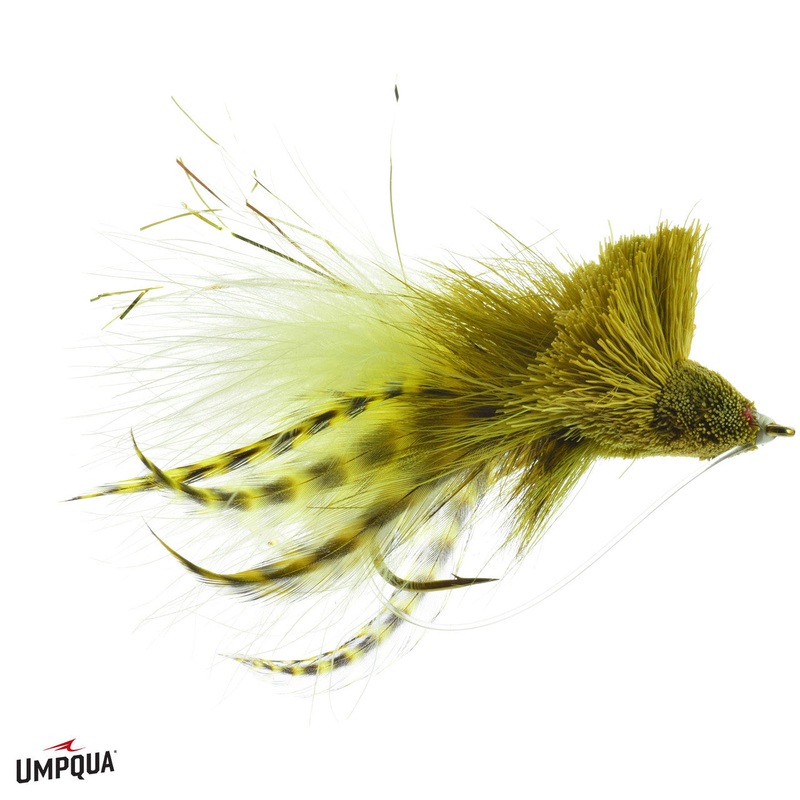 Umpqua Diving Bug|2