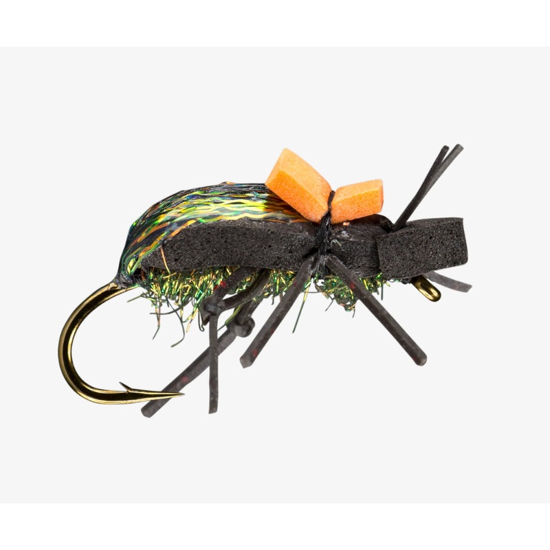RIO Ground Beetle|Black|8|10|12